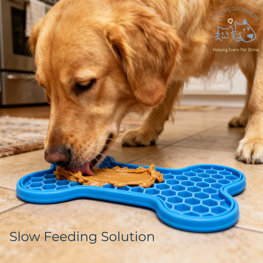 SlowChew™ Anxiety Relief Lick Mat